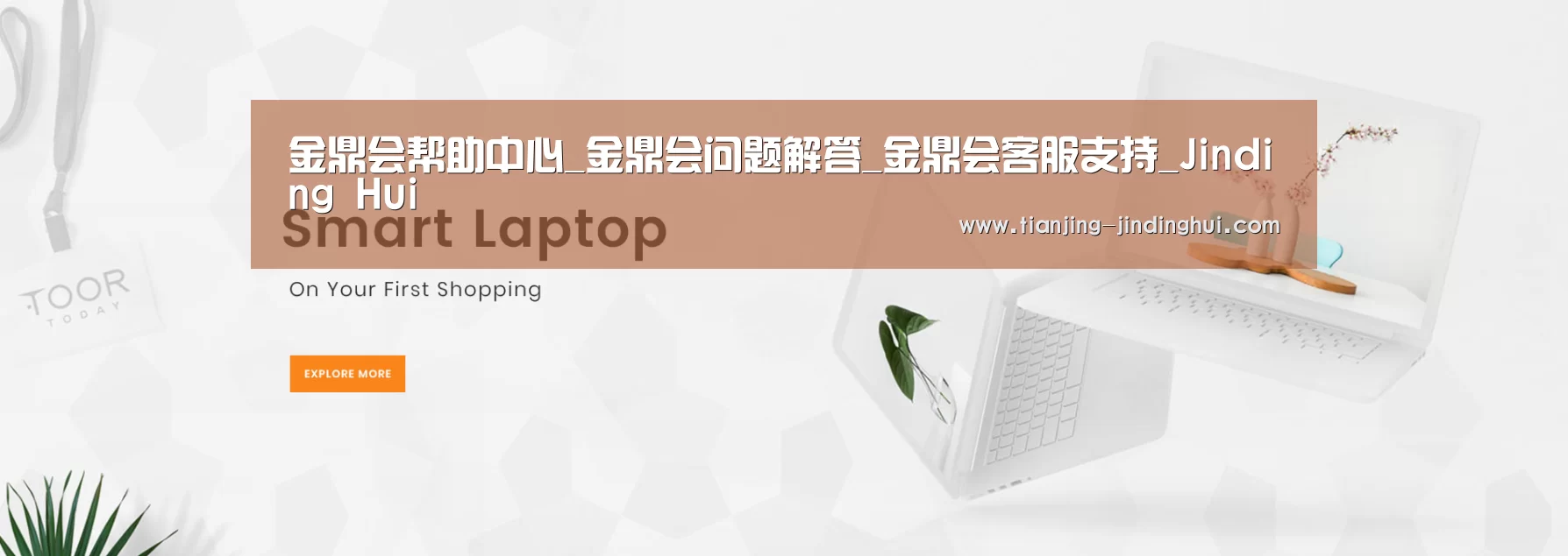 某某网络科技有限公司